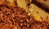 cakes1